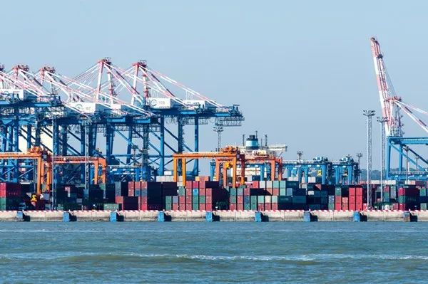  青岛国信水产内外开花，双杀山西汾酒队