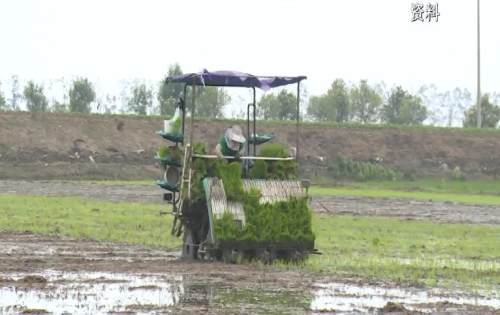  电竞装备科技赋能助力选手发挥